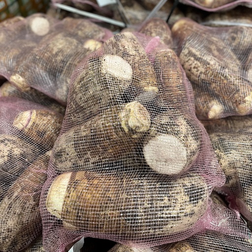 MALANGA COCO