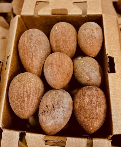 MAMEY