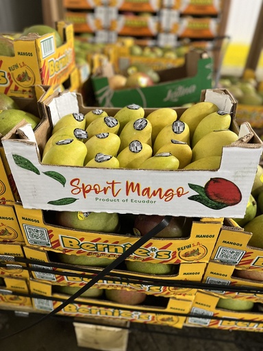 MANGO YELLOW 18 CT