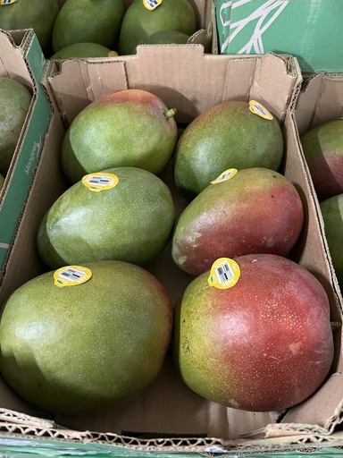 MANGO 6 CT