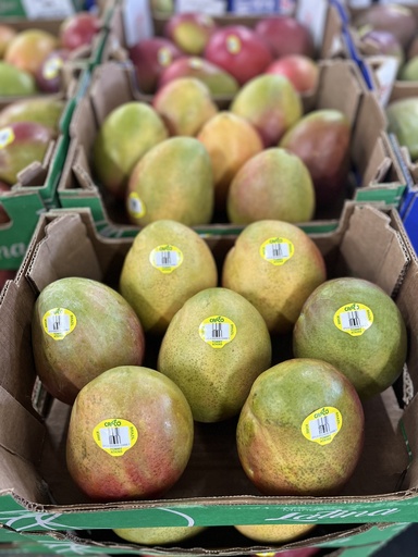 MANGO 7 CT
