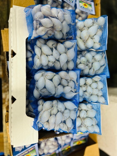 ONION PEARL WHITE 12/8 OZ