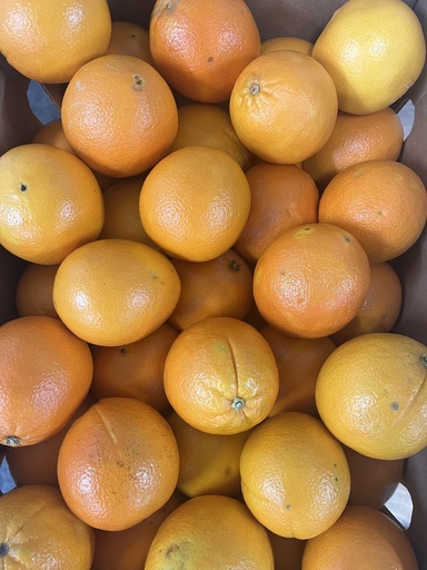 ORANGE 88 CT FANCY USA