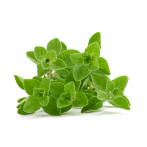 OREGANO 1 LB