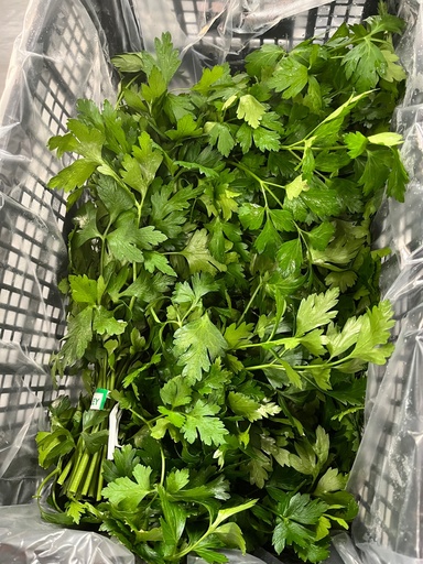 PARSLEY ITALIAN 60 CT