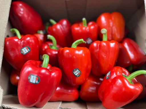 PEPPER BELL RED 11 LBS