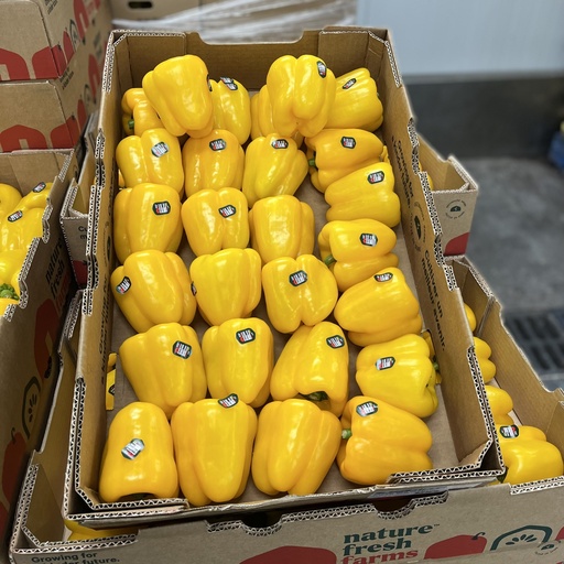 PEPPER BELL YELLOW 11 LBS