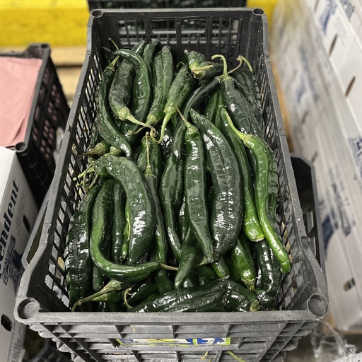 PEPPER CHILACA