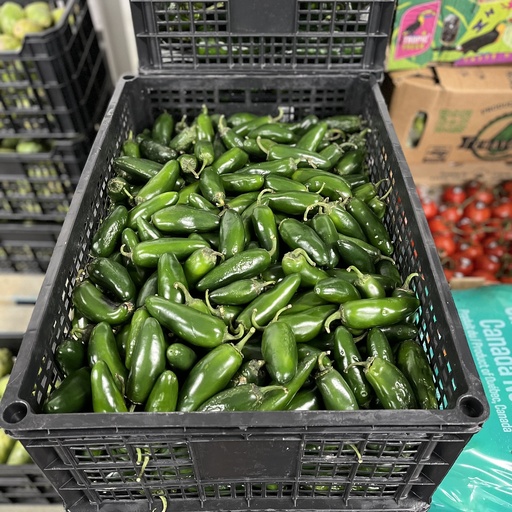 PEPPER JALAPENO USA 