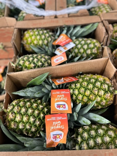 PINEAPPLE  6 CT