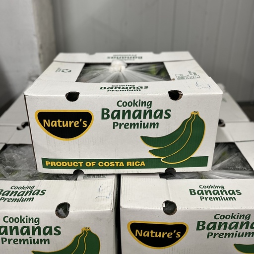PLANTAIN GREEN 