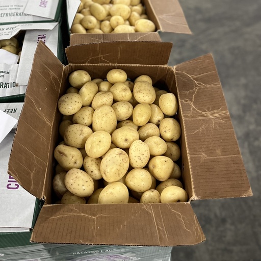 POTATO WHITE 50 LBS