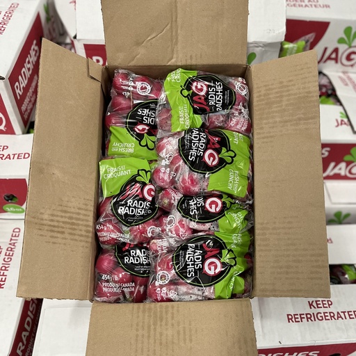 RADISH 14/1 LB 4 YOU 