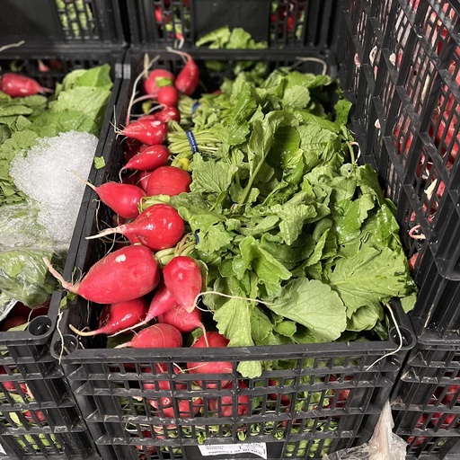 RADISH BUNCH 24 CT