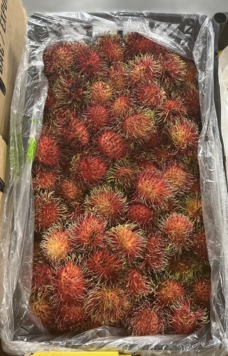 RAMBUTAN 15 LBS