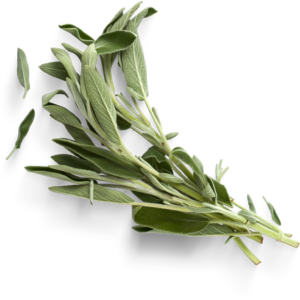 SAGE 1LB