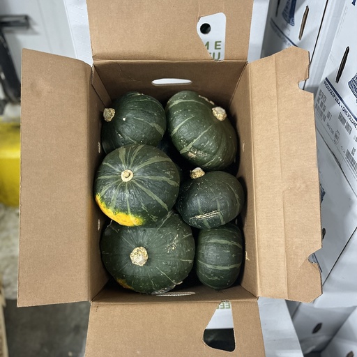 SQUASH KABOCHA
