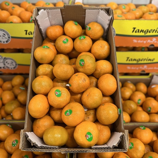 TANGERINE MURCOTT 22 LBS