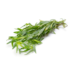 TARRAGON 1 LB