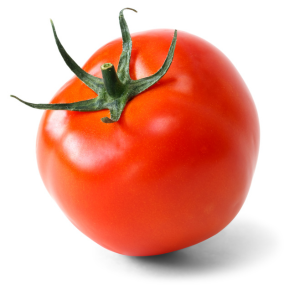 TOMATO 4X5