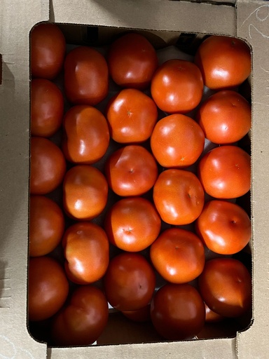 TOMATO 5X5