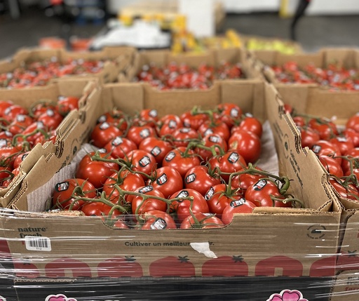 TOMATO CLUSTER 11 LBS