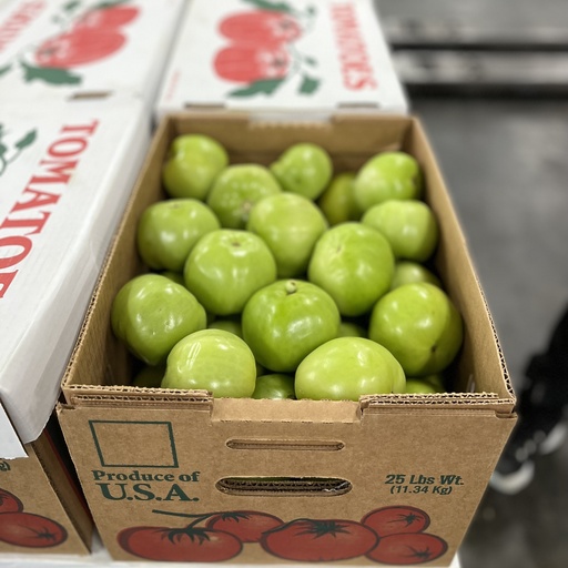 TOMATO GREEN 5X6 