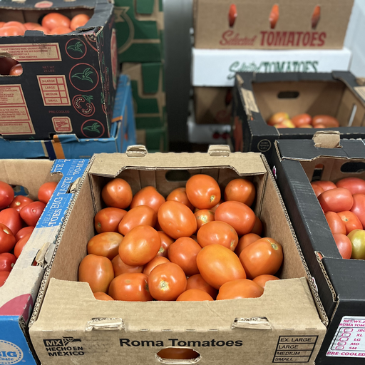 TOMATO ROMA 