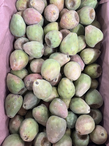 XOCONOSTLE 
