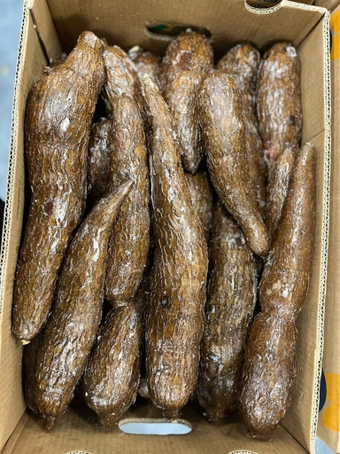 YUCCA 