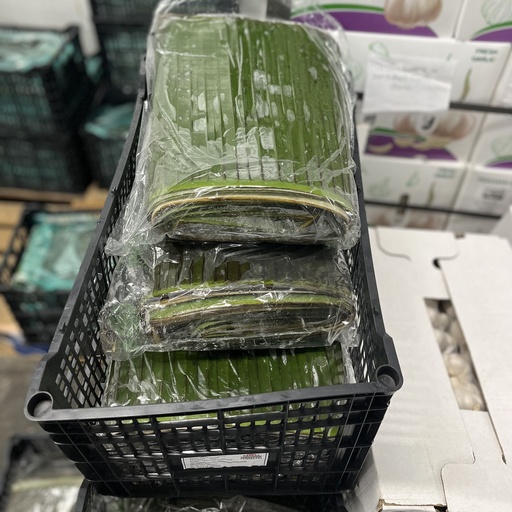 BANANA LEAF